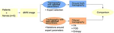 Automation of Cranial Nerve Tractography by Filtering Tractograms for Skull Base Surgery